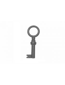 sleutel maat 22mm in Brons antiek.