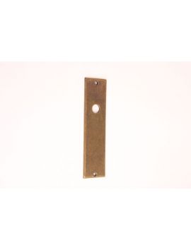 deurplaat maat 172mm in Messing Polijst.